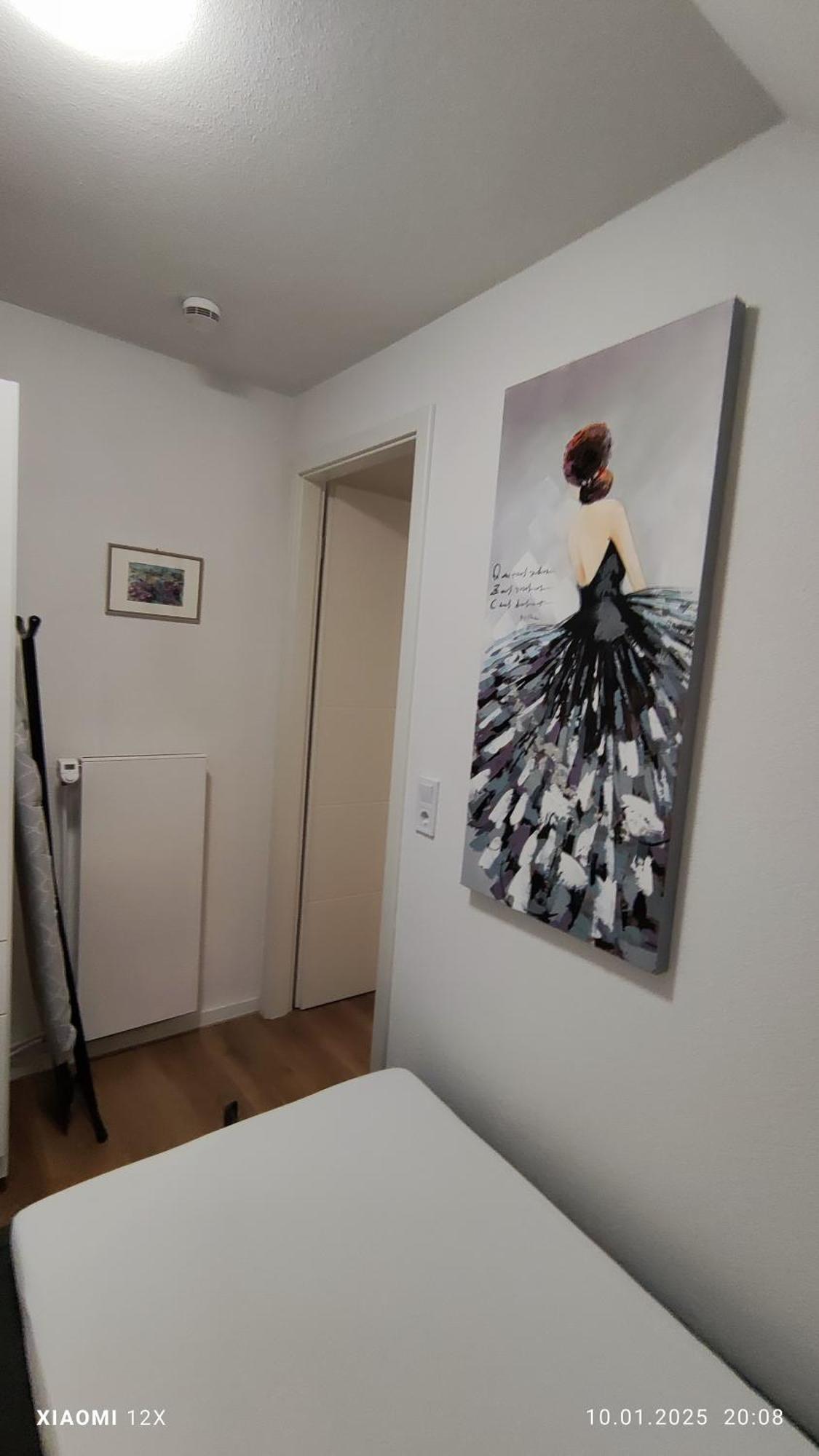 Schicke Ferien Wohnung Mit Tollem Ausblick In Schwarzwald. フィリンゲン・シュヴェニンゲン エクステリア 写真