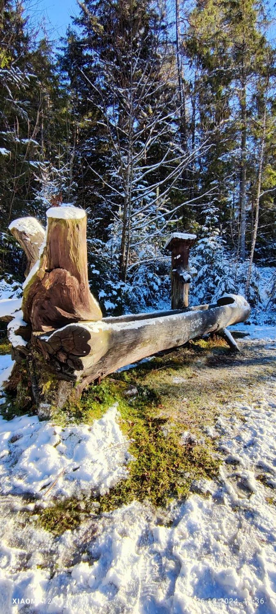 Schicke Ferien Wohnung Mit Tollem Ausblick In Schwarzwald. フィリンゲン・シュヴェニンゲン エクステリア 写真